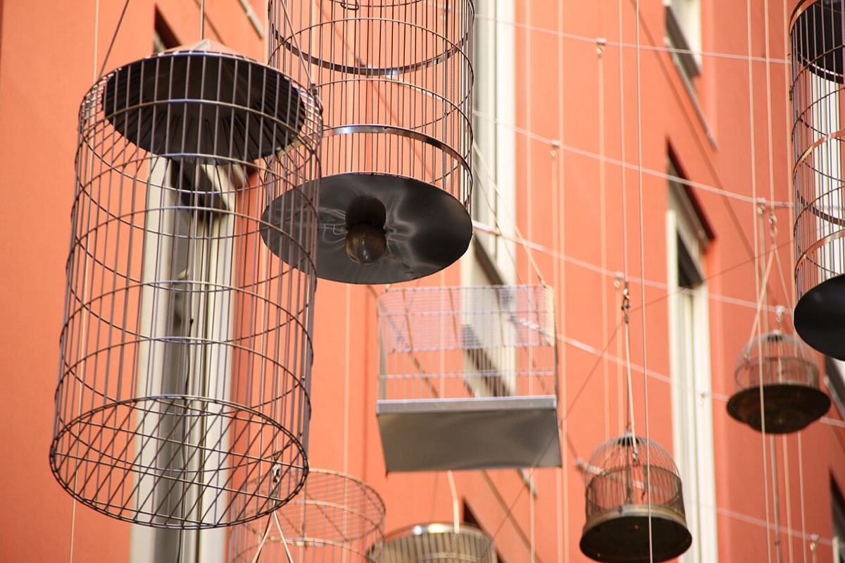 Parrot Cage